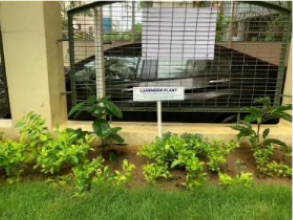 Sensory Garden - Gold Crest Awardt